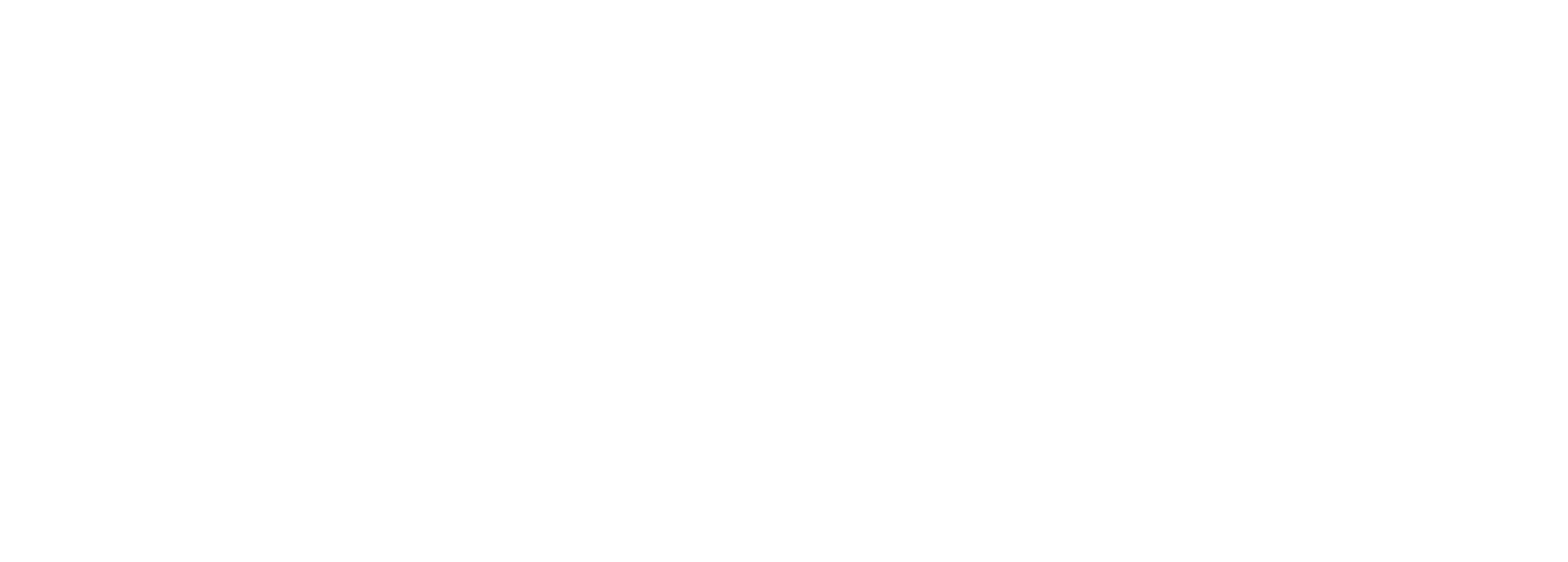 VNMSFX