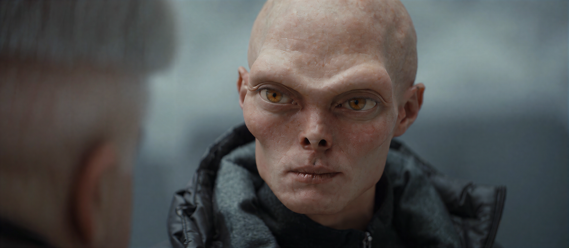 Nix character portrait